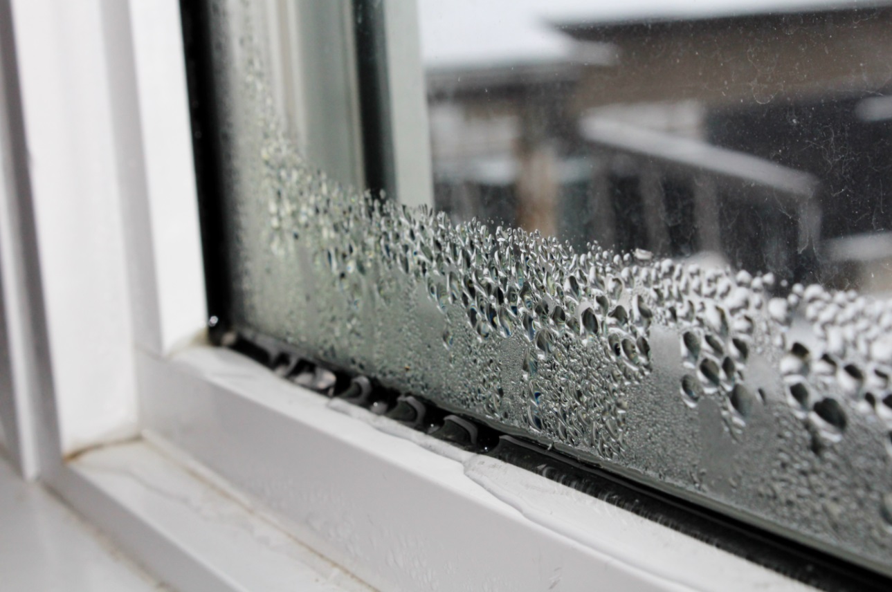 Signs of When You Need to Replace Window in Your Home
